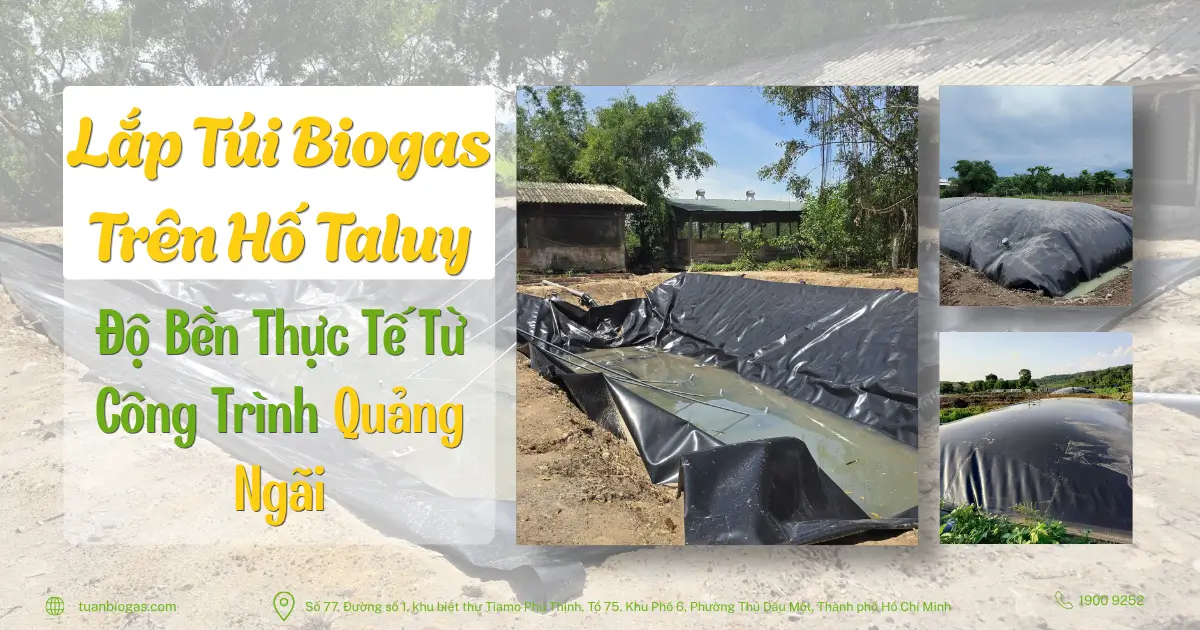 Túi Biogas Lắp Trên Hố Taluy Có Bền Không? Công Trình Thực Tế Tại Quảng Ngãi